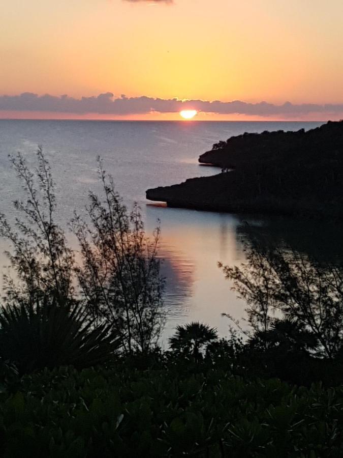 Beside The Pointe Cottage Savannah Sound Exterior foto